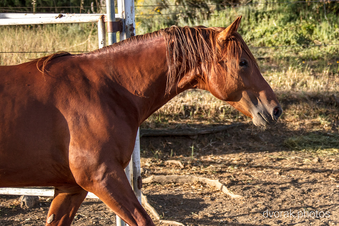 20220606193901 019137