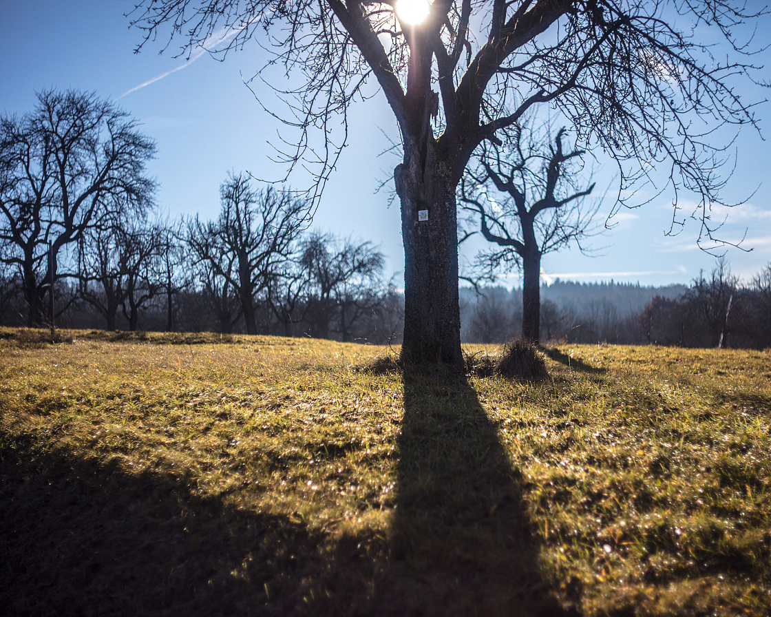 20220101125232 012983