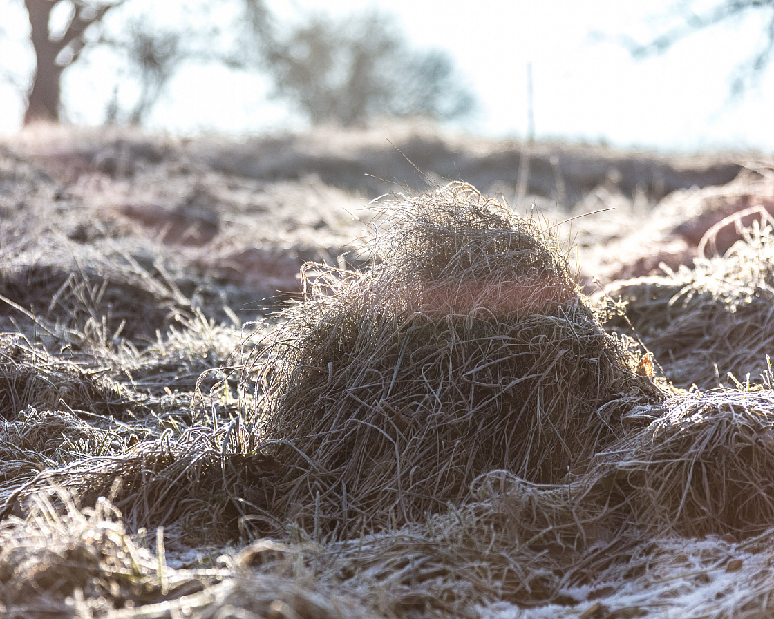 20220116100712 013235