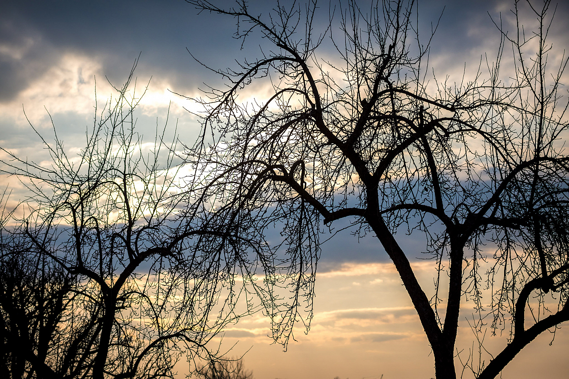 20220306172354 013836