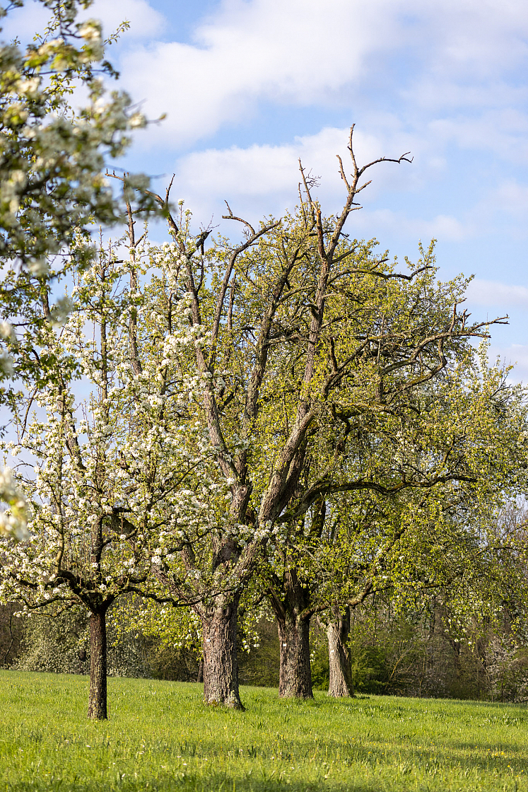 20230426073423 R5D 0491