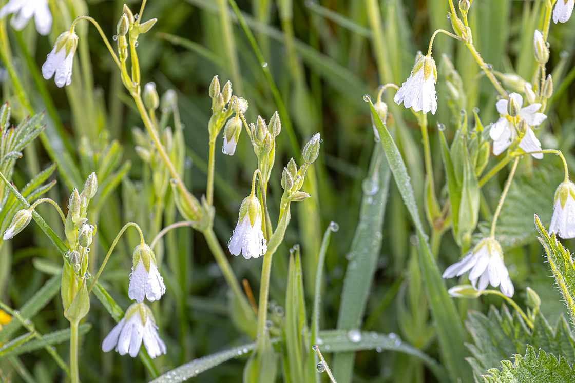 20230426074836 R5D 0544-Verbessert-RR