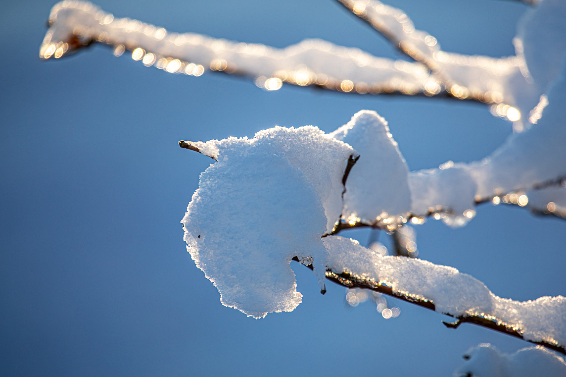 20231203153246-RD4 4960-edit