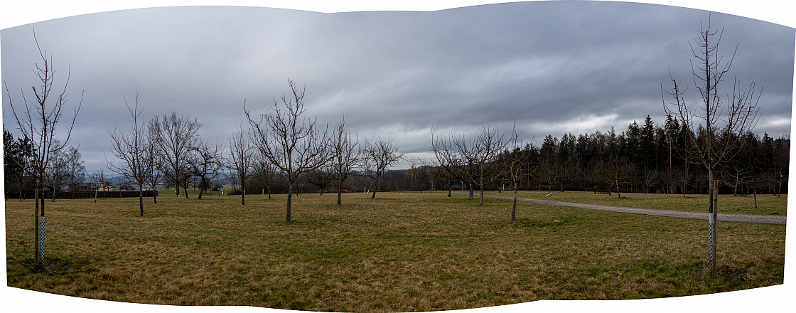 20230312092501 pano