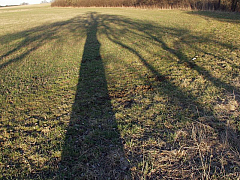 P3160091