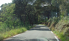 P4130269.jpg