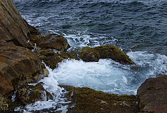 P4150044.jpg