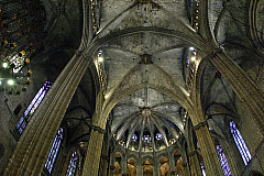 IMG_3905.jpg