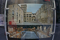 IMG_3982.jpg
