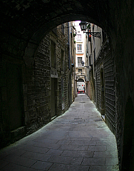 IMG_4172.jpg