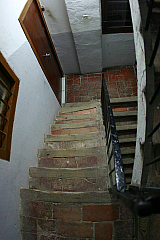 IMG_5329