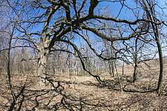 20070408210549 2599