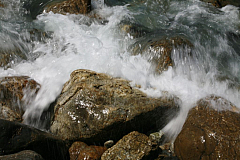 IMG_7786.JPG