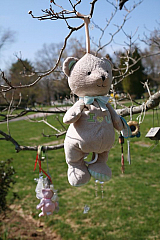 IMG_8331.JPG