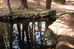 IMG_8564.JPG