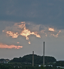 IMG_3245.jpg