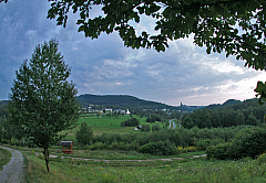 IMG_3383.jpg