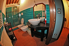 IMG_4172.jpg