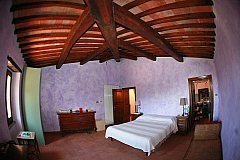 IMG_4178.jpg