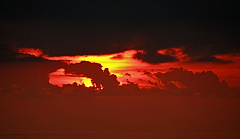 IMG_4540.jpg