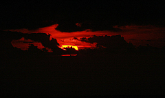 IMG_4546.jpg