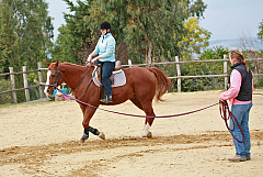 IMG_4326.jpg