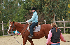 IMG_4342.jpg