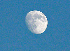 IMG_4743.jpg