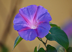 IMG_4759.jpg