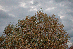 IMG 9153
