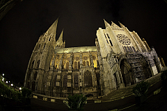 IMG_5946.jpg