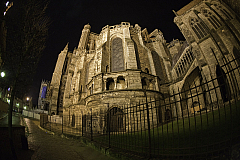 IMG_5973.jpg