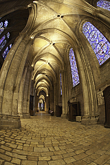 IMG_6073.jpg