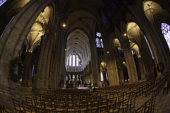 IMG_6084.jpg