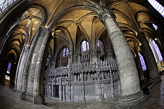 IMG_6111.jpg