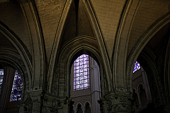 IMG_6131.jpg