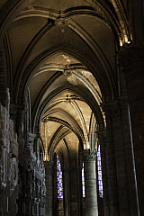 IMG_6145.jpg
