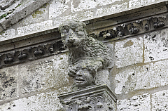 IMG_6207.jpg