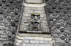 IMG_6242.jpg