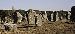IMG_7321.jpg