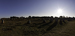 IMG_7469.jpg