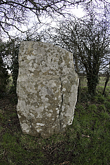 IMG_6656.jpg