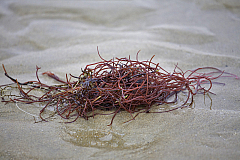 IMG_6944.jpg