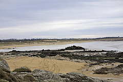 IMG_6960.jpg
