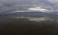 IMG_6998.jpg