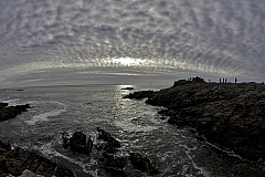 IMG_6724.jpg