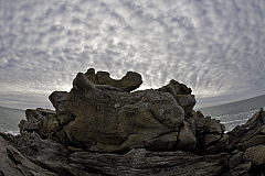 IMG_6734.jpg