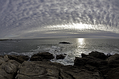 IMG_6744.jpg