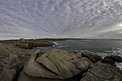 IMG_6746.jpg
