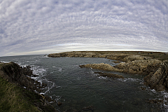 IMG_6765.jpg